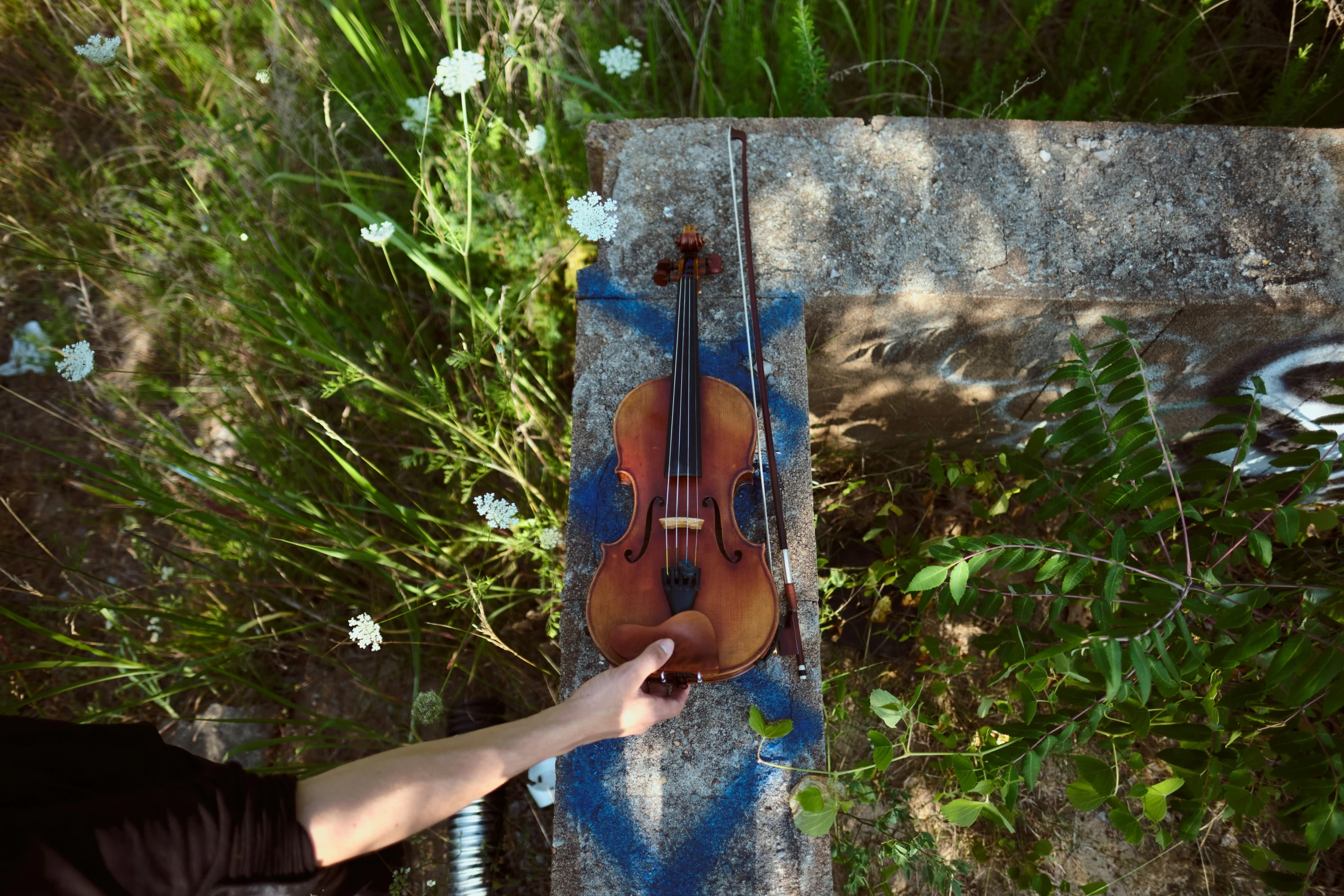 someone holding a violin in one hand near the grass