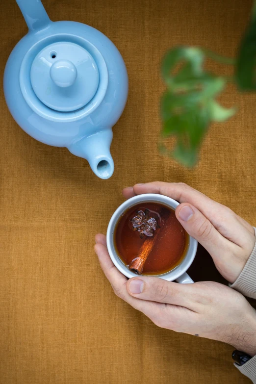 two hands hold a cup with honey and a potted plant