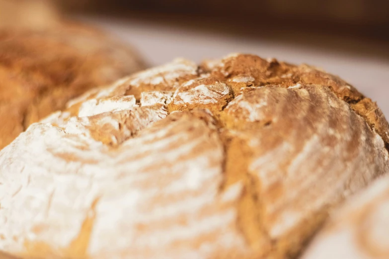 closeup of several pieces of bread on top of a table