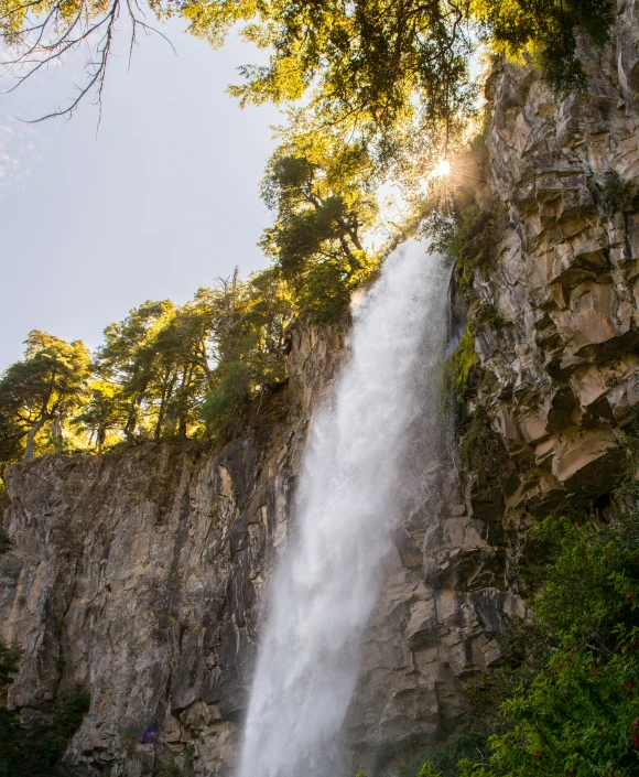 waterfall with mist coming out and trees below