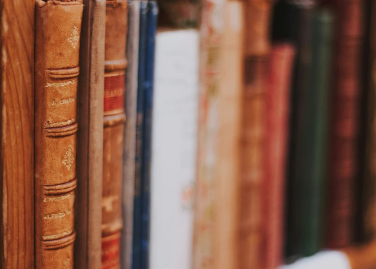 several books sit on the bookshelves together