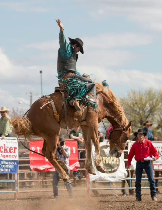 a cowboy falling off a bucking bronco in a rodeo