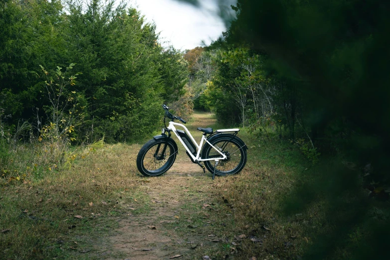 a bike parked in the middle of a dirt path