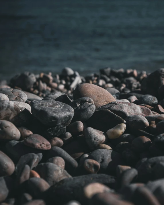 small shells are on the rocks by the ocean