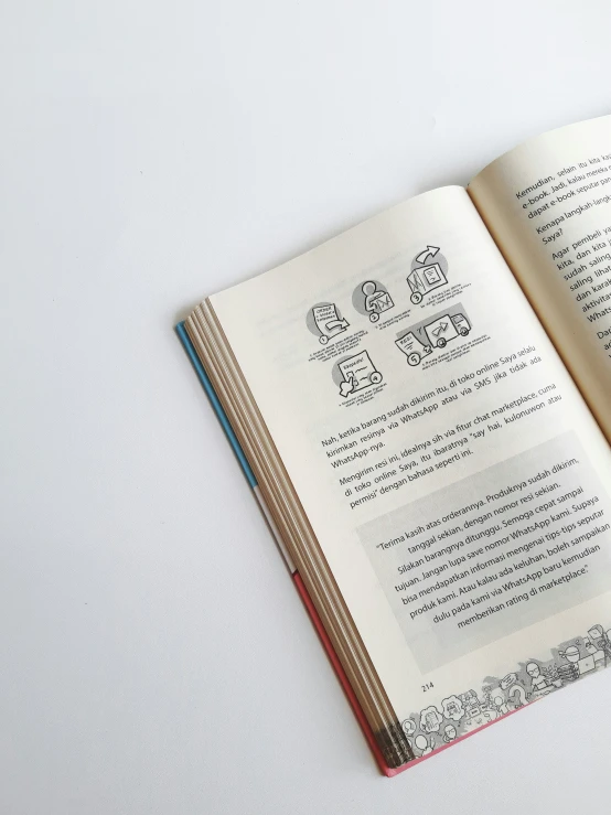 an open book with images of medieval texts on top