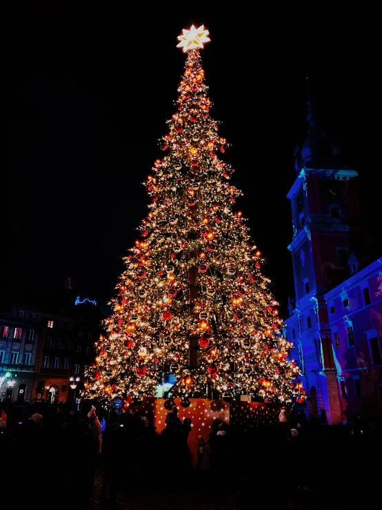 there is a huge christmas tree lit up at night