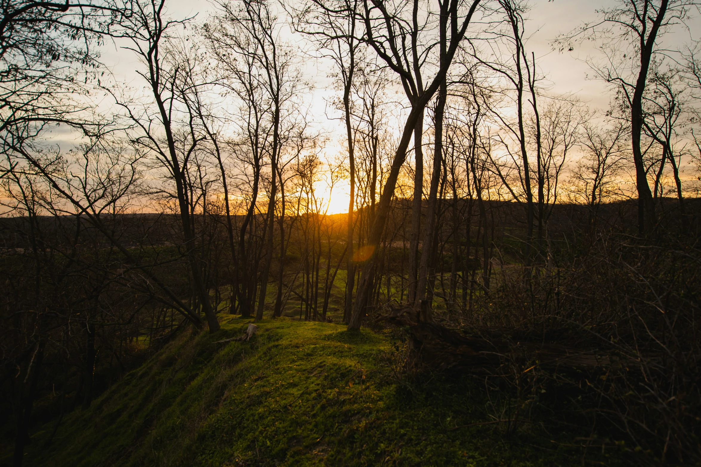 the sun is setting in a wooded area