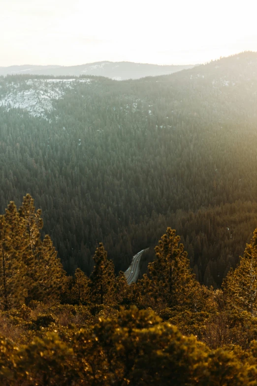 a snow capped mountain with trees and a truck