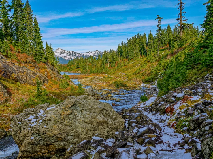 a stream runs through an area that has been cleared from the ground