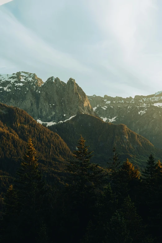 trees stand in the foreground on a mountain slope with snow