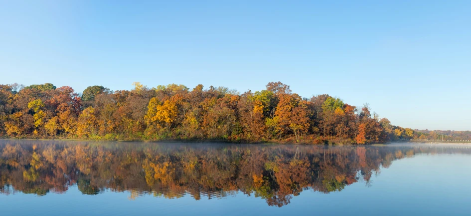 trees on the shoreline reflecting in the water