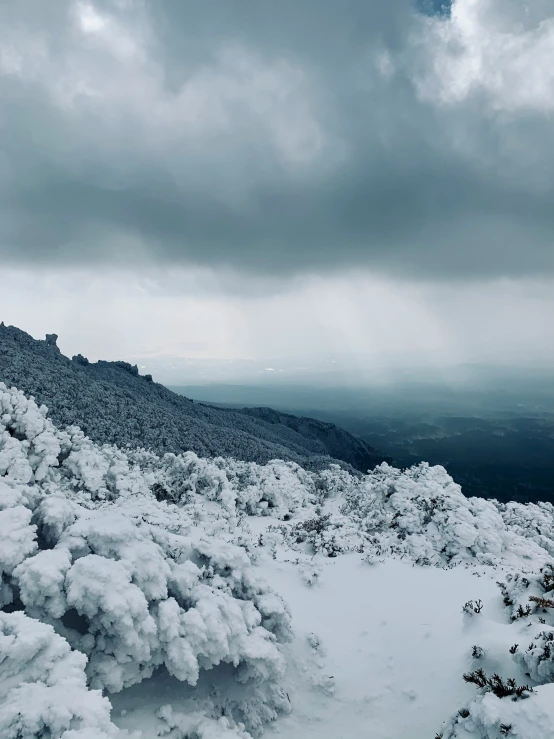 a snow covered mountain slope with trees and clouds