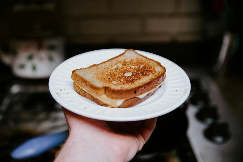 a person holding up a white plate with pieces of toast on it