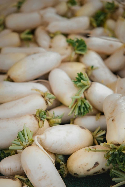 white vegetables sitting in a pan ready to be roasted