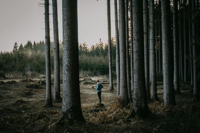 a lone man standing amongst trees on a hillside