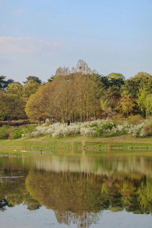 a beautiful view of water with green grass, trees and shrubs