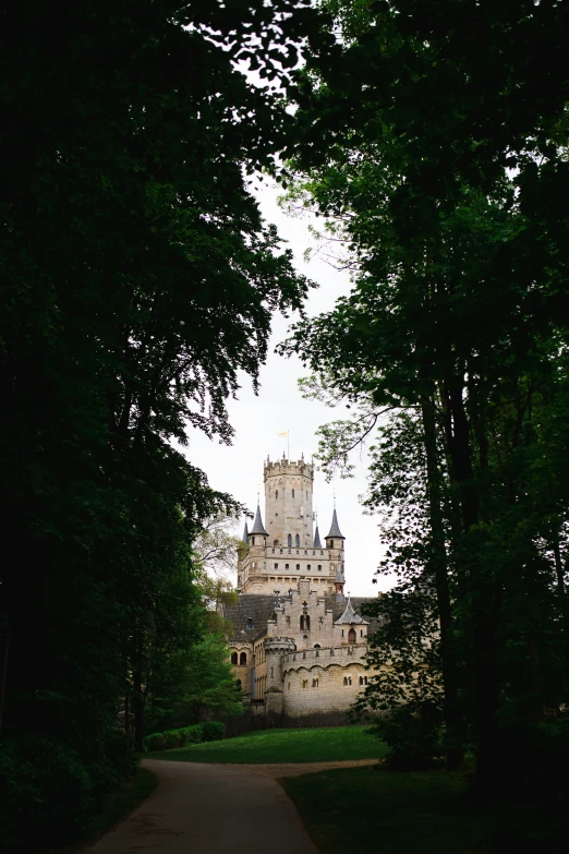 a very old castle surrounded by trees in the distance