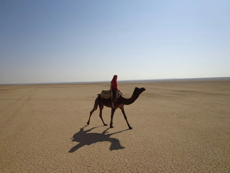 a man that is sitting on a camel