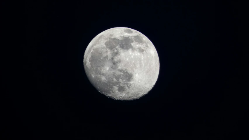 a full moon in the night sky above a tree