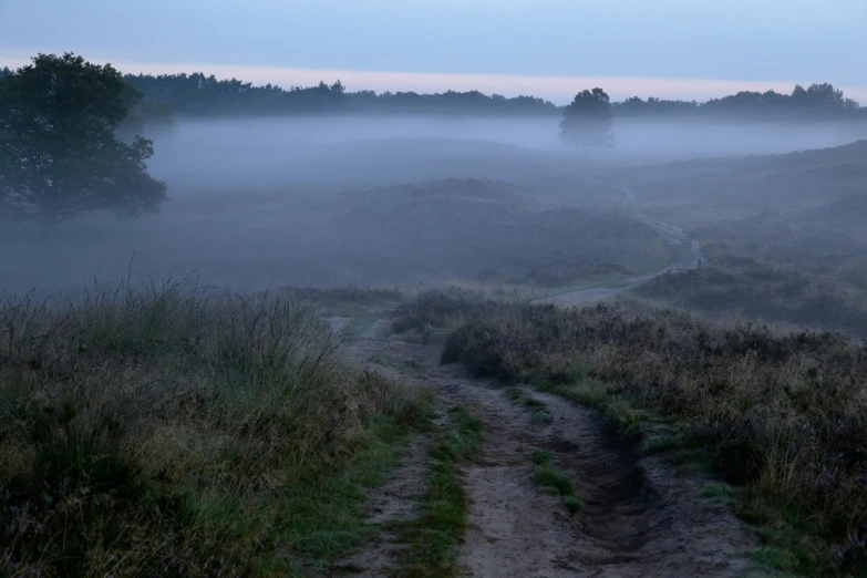 the countryside is covered in fog as the horse is walking along it