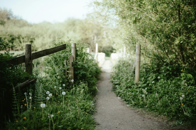 there is a wooden gate and grass behind the fence