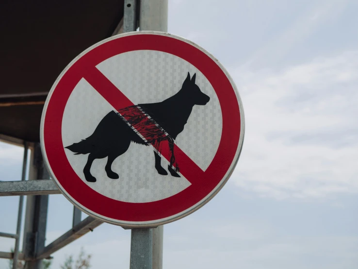 a sign indicating that no dogs allowed at this point