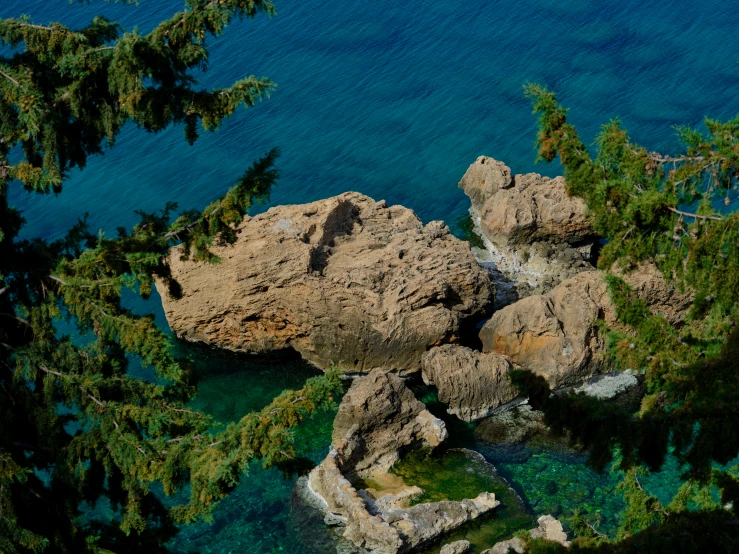 an aerial s of trees and a body of water with rocks