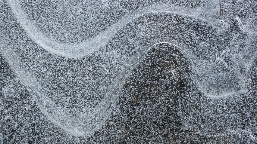 sand and sand dollar shaped with a wave pattern