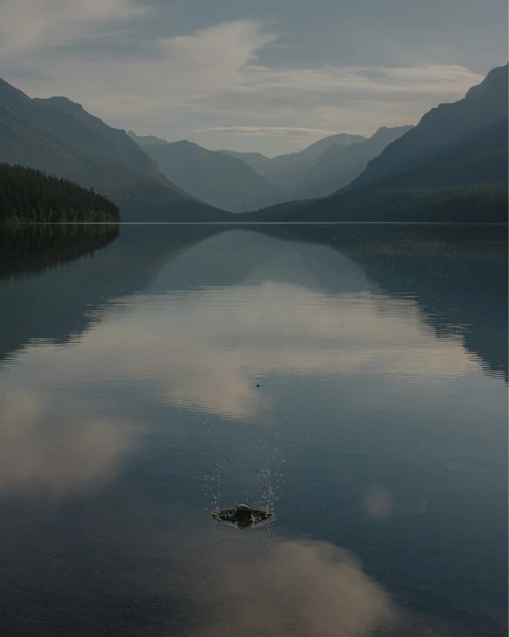 calm, tranquil waters surrounded by mountains are visible