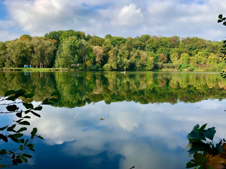 a body of water that is surrounded by trees