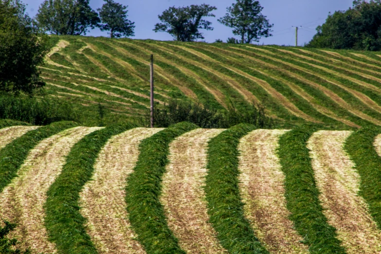 an image of a field that has been plowed