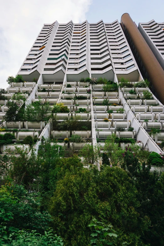 the building is covered in green vegetation and is very large