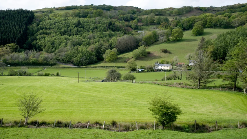 a large field in front of a mountain with trees