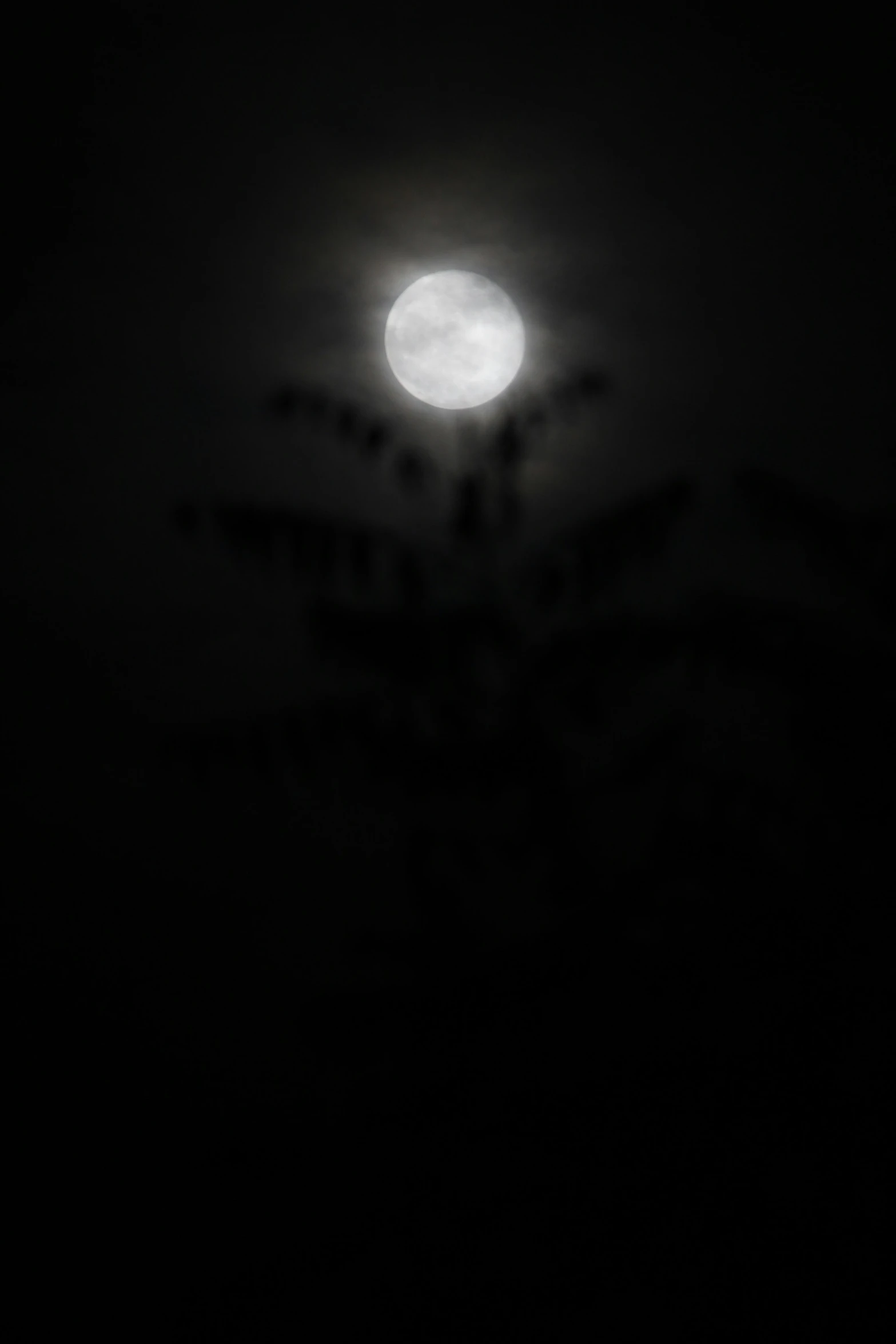 a full moon seen from the sky with trees in front