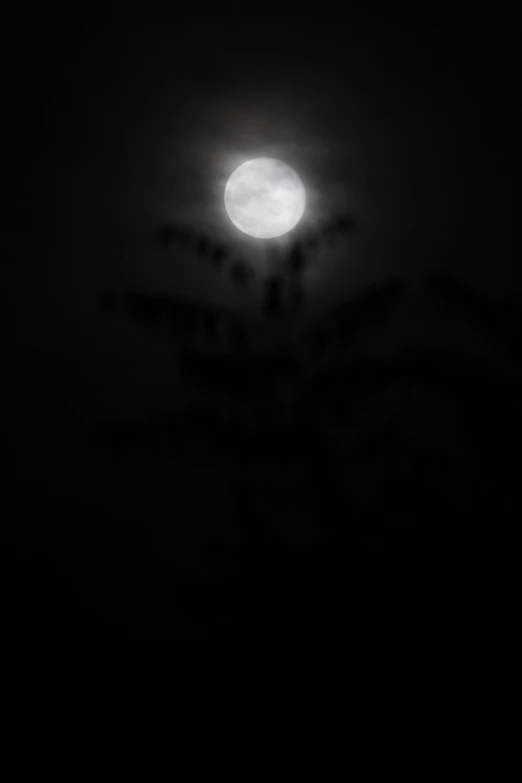 a full moon seen from the sky with trees in front
