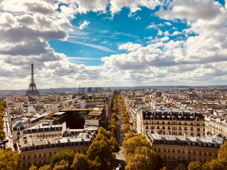 aerial view of paris, eiffel tower and the city with trees