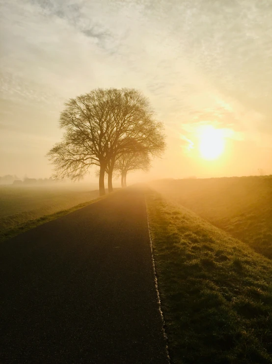 the sun is rising over a foggy rural area