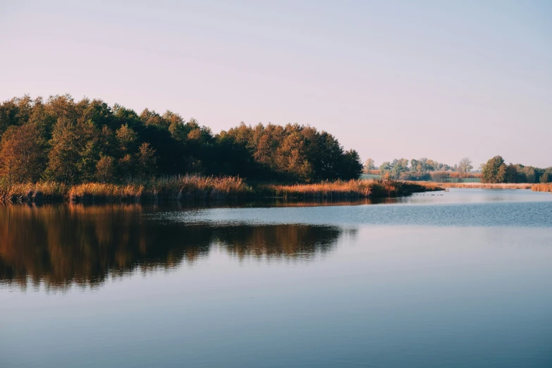 a quiet lake surrounded by a row of trees