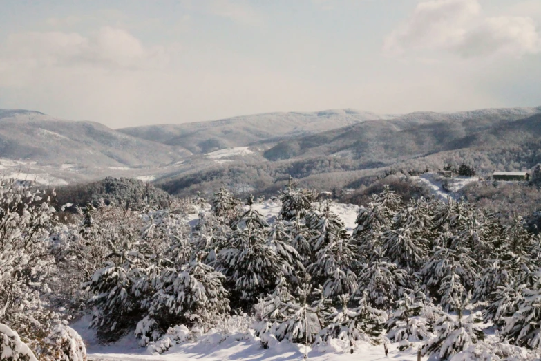 some snowy hills covered in snow and trees