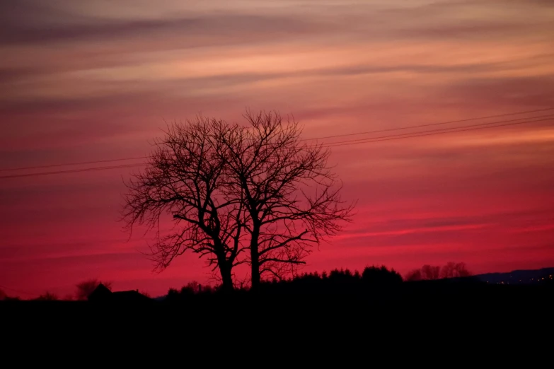 the silhouette of an airplane flying past some trees