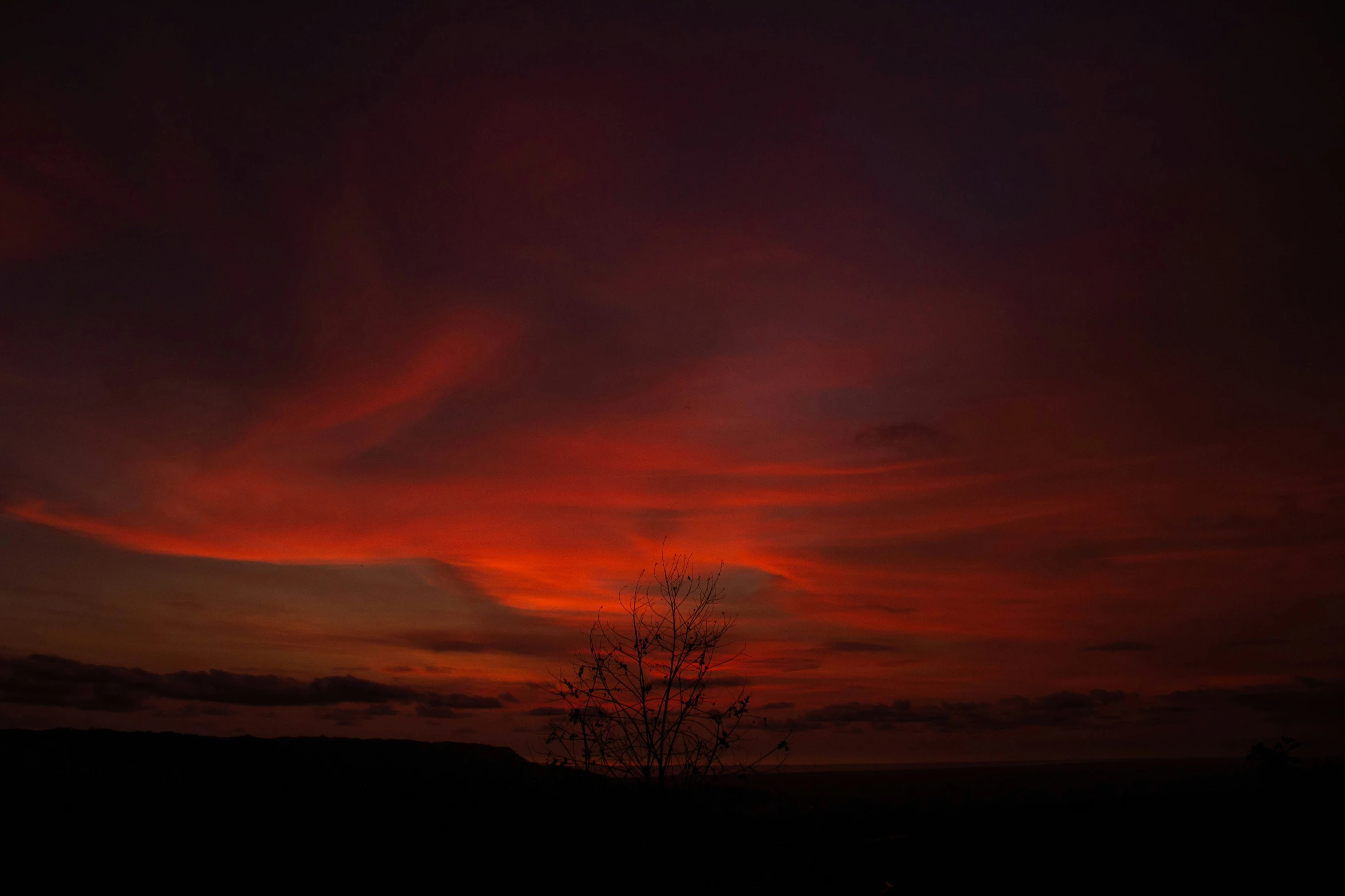 the sky has a large red substance in it