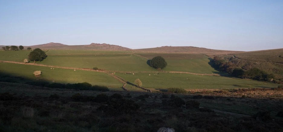 rolling green hills and dry grass on a clear day