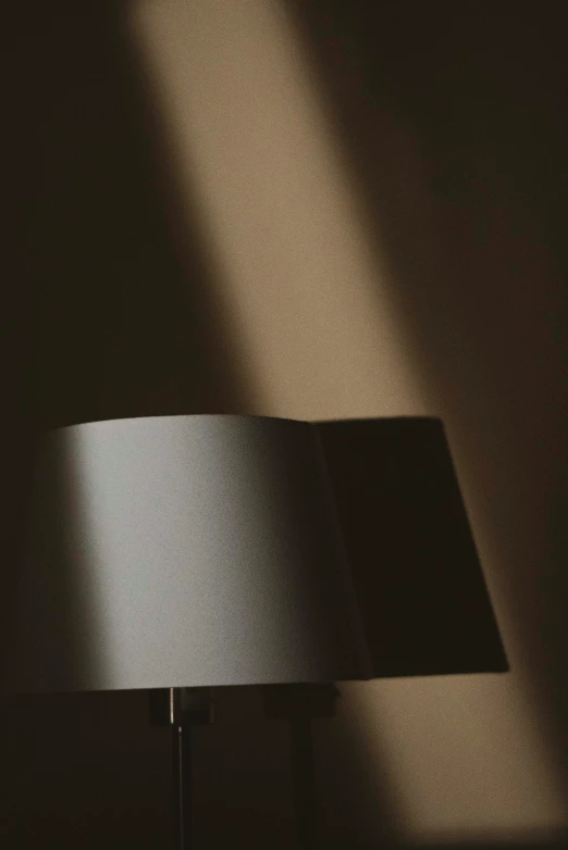 a lampshade casts a light on the wall