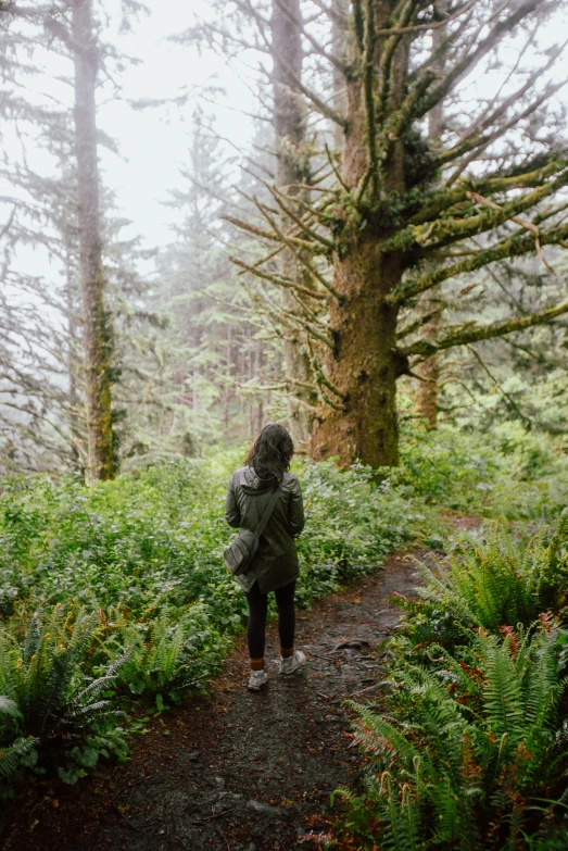 a person in rain gear is standing near tall trees