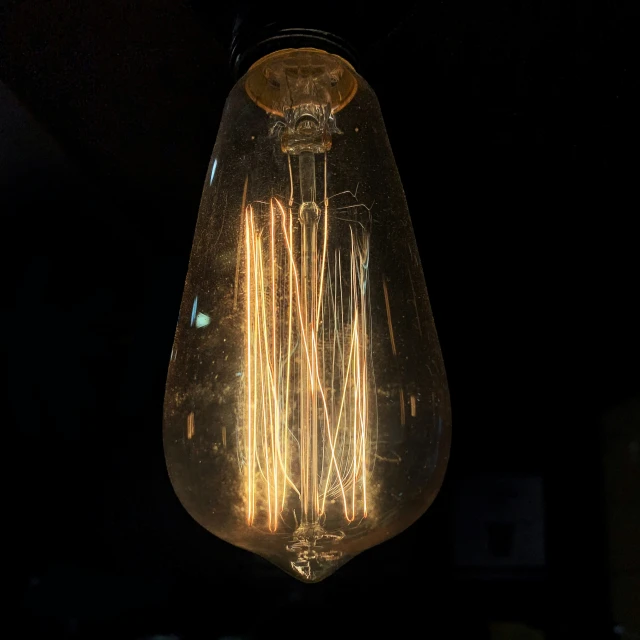 the light bulbs have long, shiny strands in them