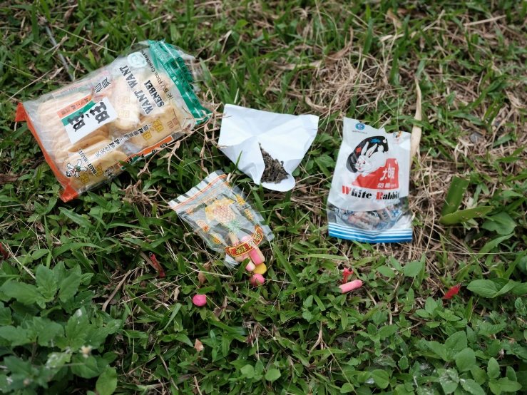 various bags and snacks that are on the grass