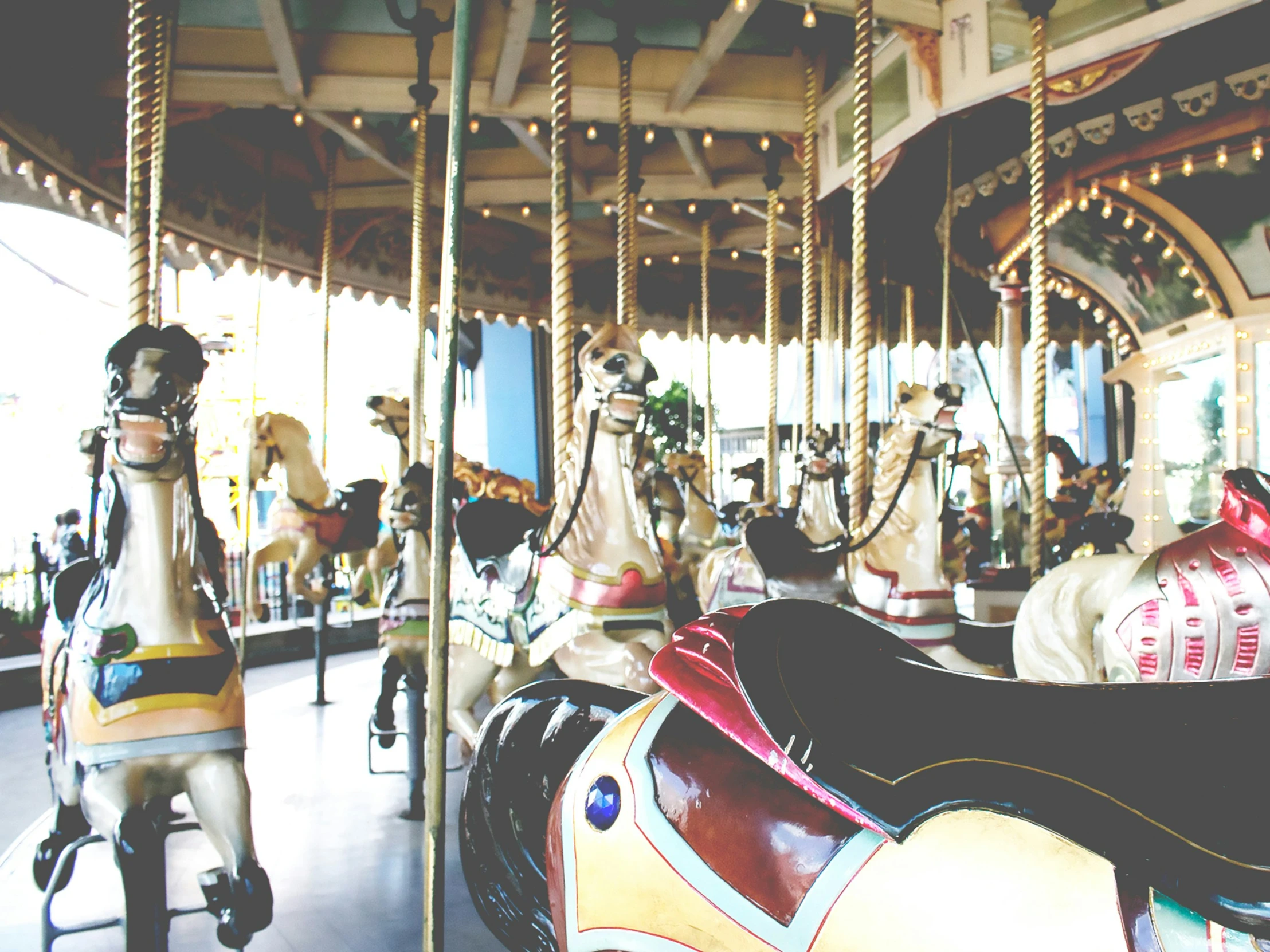 this is a carousel for many people