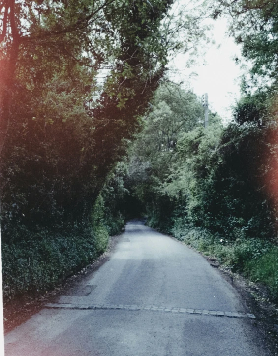 a black and white po looking down a narrow road