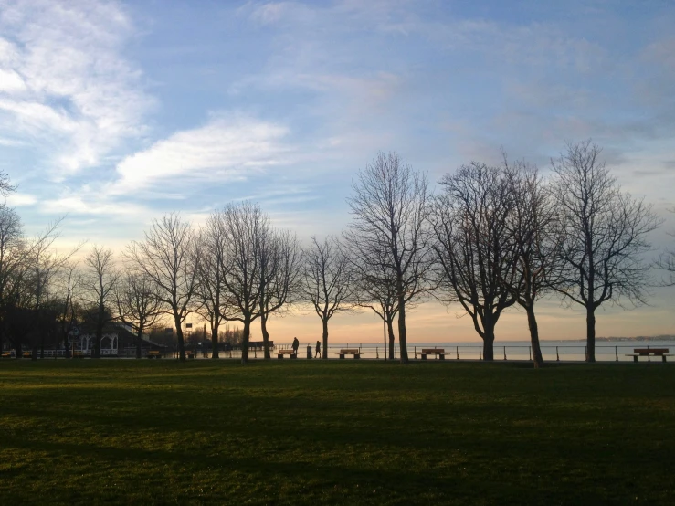 several trees line the grassy park near the water