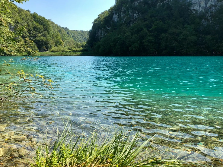 a blue body of water near some green trees